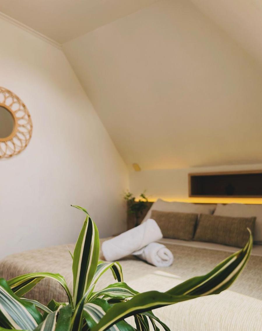 Yogi Albergue Santiago